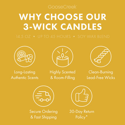 Citrus & Basil Aromatherapy Large 3-Wick Candle