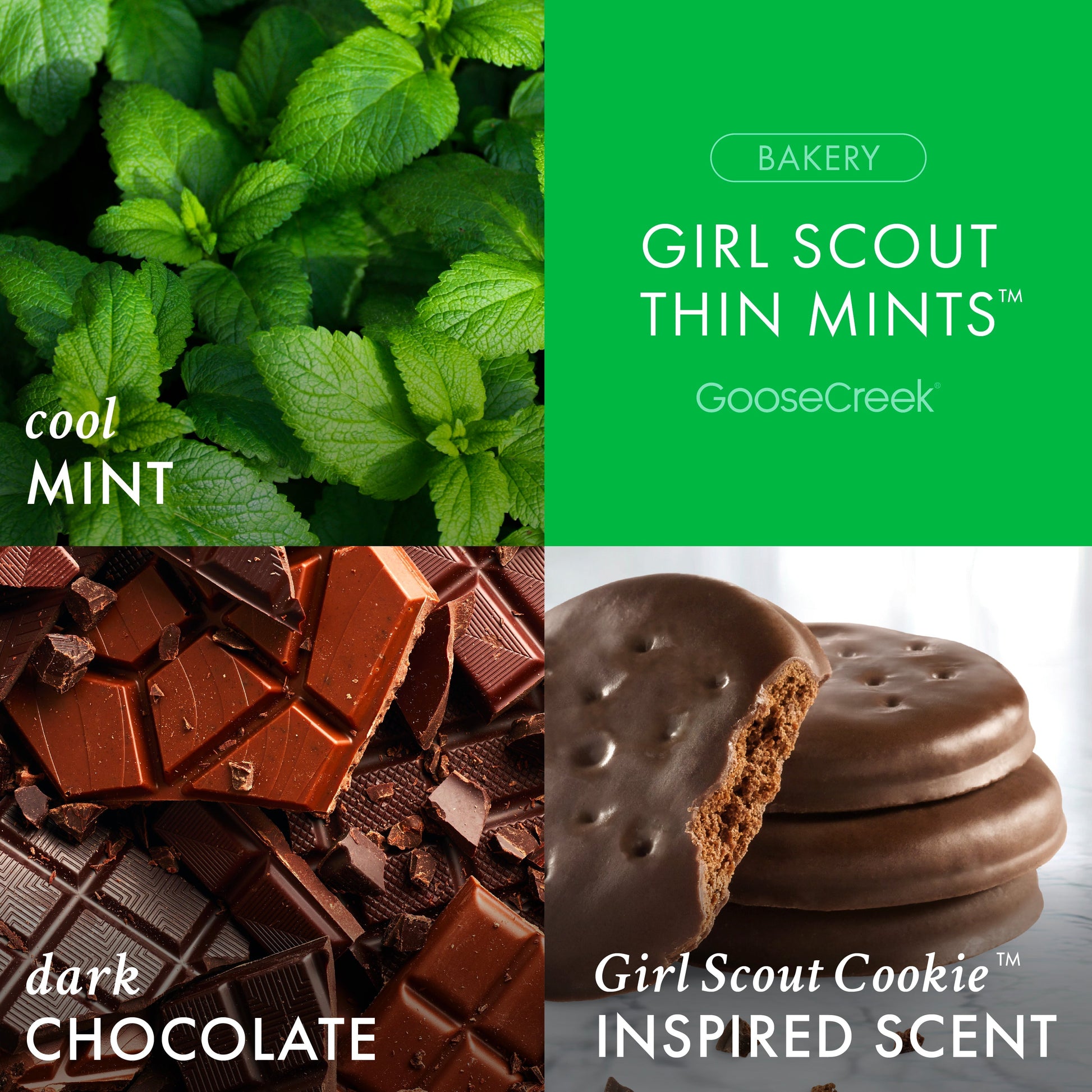 Girl Scout Thin Mint™ 3-Wick Candle