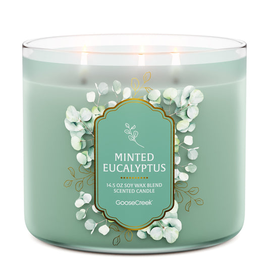 Minted Eucalyptus 3-Wick Candle