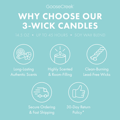 Sweet Salt Water Taffy 3-Wick Candle