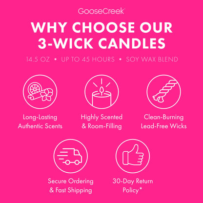 Tropical Daydream 3-Wick Candle